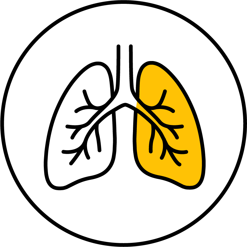 Lunit Icons_200x200_RGB_Lung_yellow